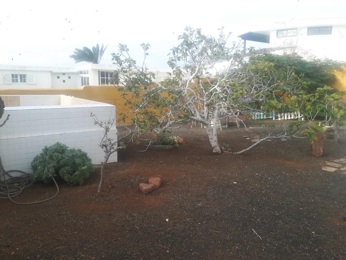 Blue Beach Famara Exterior foto